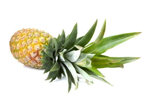 One fresh pineapple isolated on white background