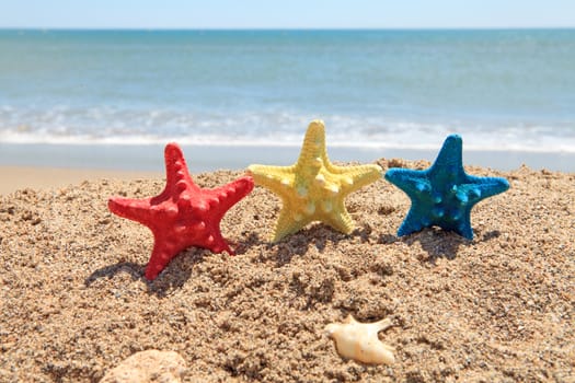 three colorful starfish and shells on the beach near the ocean on sunny day