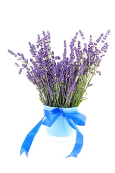 bouquet of plucked lavender in pot with blue bow isolated on white background