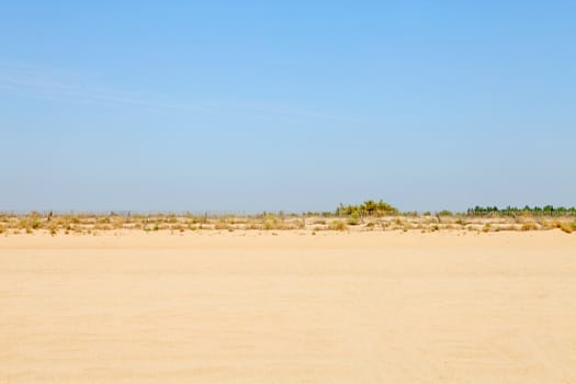 coastline with dunes, empty beach with blue sky