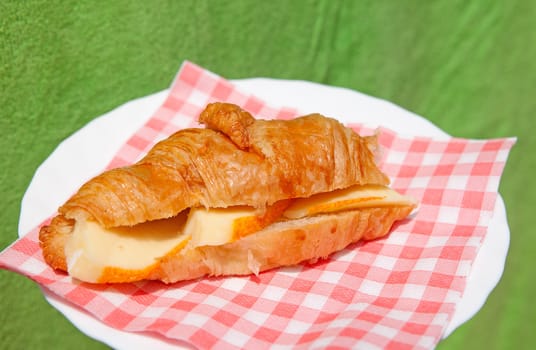 croissant sandwich with brie cheese on white plate against green background