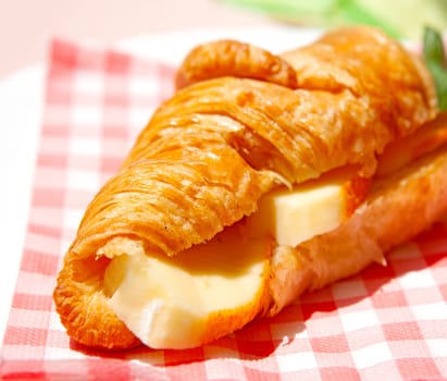 croissant sandwich with brie cheese on checkered napkin in sunshine