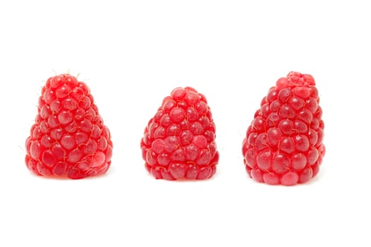 three fresh raspberries in a row over white background