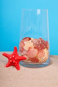red starfish and shells in glass on sand over blue background
