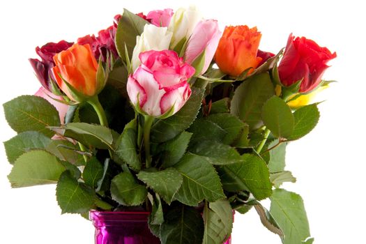 Bouquet of colorful roses in pink vase over white background