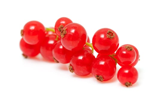 berries of red currant in closeup over white background