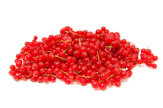 pile berries of red currant in closeup over white background