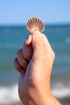 hand of a child is holding shell near the ocean