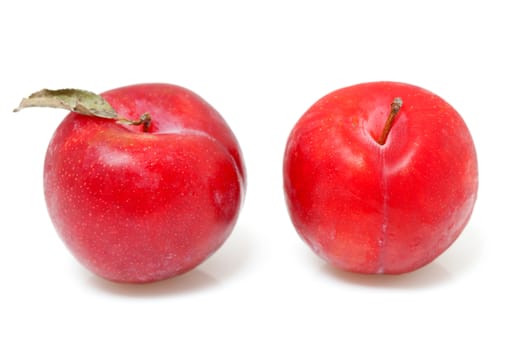 two red plums in closeup over white background