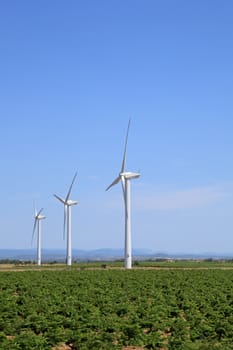 windmills in the south of France