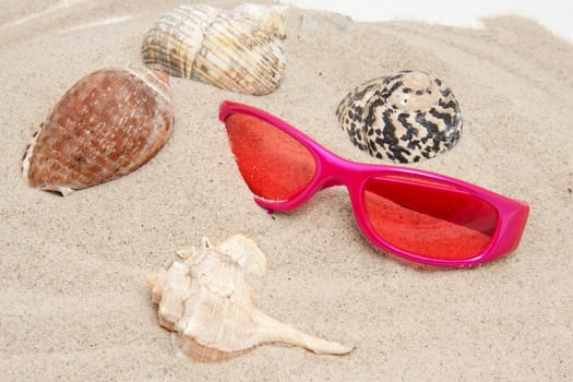 pink sunglasses and shells on beach in the sand