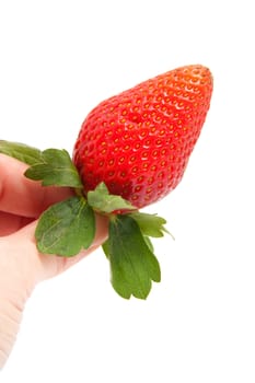 Hand is holding a strawberry over white background