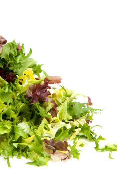 pile of fresh lettuce in closeup coming from the left over white background