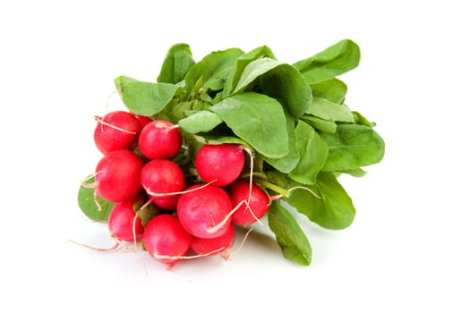 bunch of fresh radish over white background