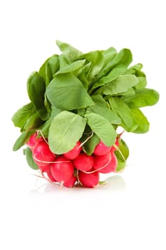 bunch of fresh radish over white background