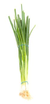 bunch of fresh spring onions over white background
