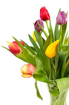 Bouquet of colorful tulips over white background