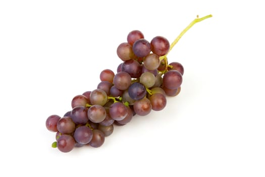 cluster of blue grapes out of own garden isolated on white background