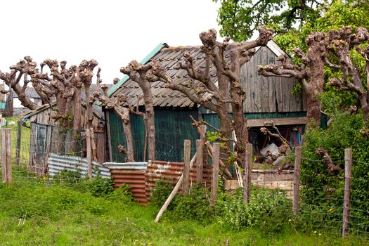 Little old livestock barns for animals in Marken, the Netherlands