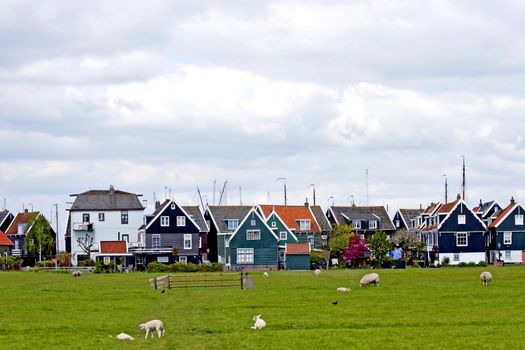 view over typical Dutch houses in the village Marken