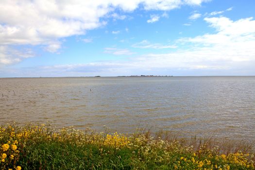 Typical Dutch view near Marken Volendam in the Netherlands