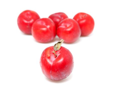 couple of red plums with focus on front over white background