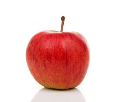 one red apple isolated on white background