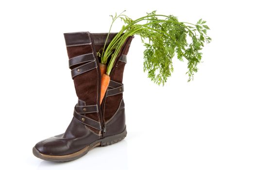 Shoe with carrot over white background, typical Dutch tradition for Sinterklaas in december