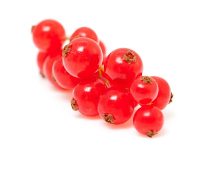 berries of red currant in closeup over white background