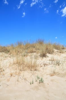 sand dunes in closeup against blue sky