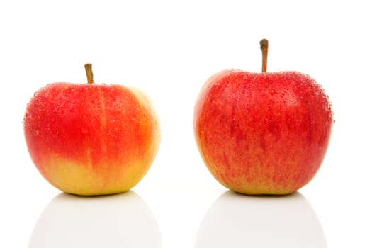 two juicy red apples over white background