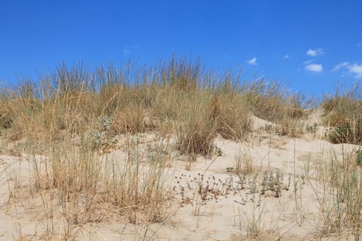 sand dunes in closeup against blue sky