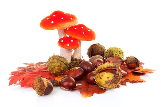 autumn scene with leaves, chestnuts and mushroom over white background