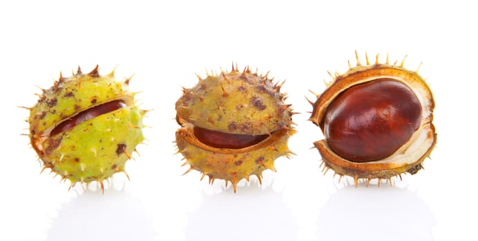 three spiky chestnuts isolated on white background