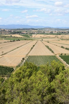 The Oppidum d'Ensérune is an ancient hill-town (or oppidum) near the village of Nissan-lez-Ensérune, France,