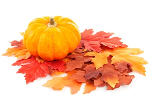 pumpkin and fake autumn leaves over white background