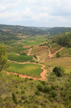 landscape with vineyard and mountains  in the south of france