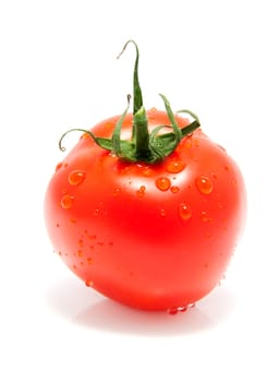 One fresh tomato with water drops isolated on white background