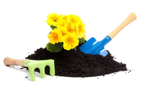 gardening with soil, tools and plants over white background