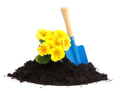 gardening with soil, tools and plants over white background