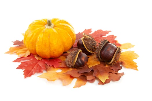 pumpkin, chestnuts and fake autumn leaves over white background 
