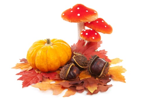 pumpkin, chestnuts, mushroom and fake autumn leaves over white background
