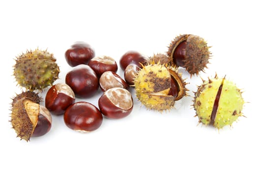 couple of chestnuts isolated on white background