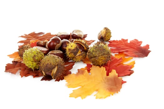 autumn scene with leaves and chestnuts over white background 
