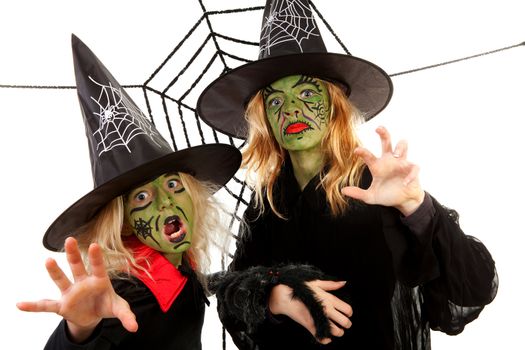 Scary green witches for Halloween with spiderweb over white background