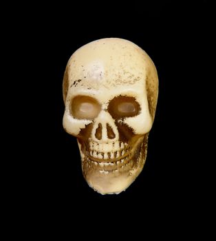 plastic human skull isolated on black background