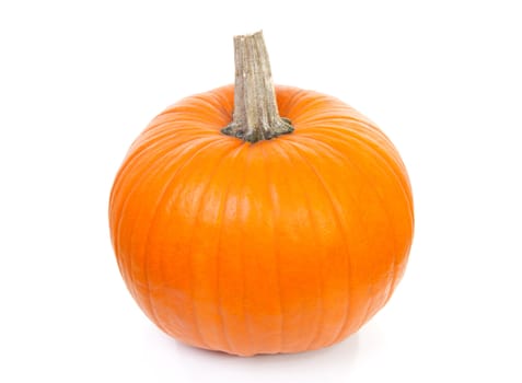 big orange pumpkin isolated on white background