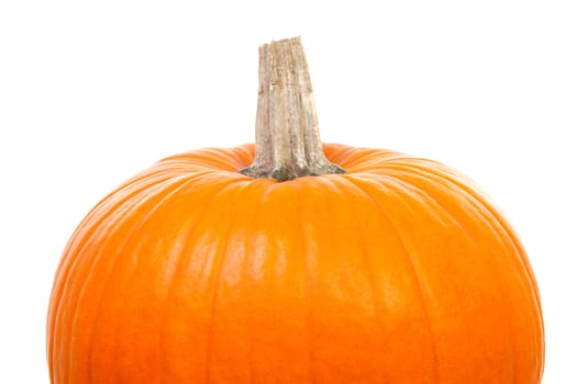 top of big orange pumpkin isolated on white background