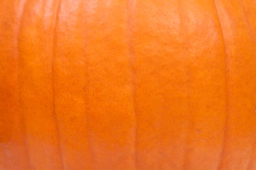 background of orange pumpkin in closeup