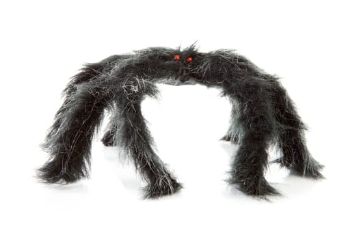 scary black spider toy isolated on white background